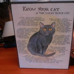Cat sign
