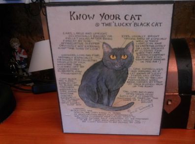 Cat sign