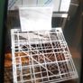 Hobart industrial prof. dishwasher Image 4