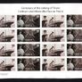 2012 Ireland Centenary of the Sinking of The RMS Titanic Commemorative Stamp Sheetlet Plate 1A1A1A1A Fine CDS Used with Dublin cancel of 12th April 2012 (First day of issue) on envelope extract Image 3