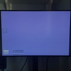 Lenovo P27H20 Monitor (Mild Display Issue)
