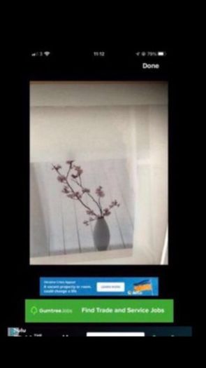 Framed Floral Prints