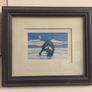 Penguin pictures Image 3