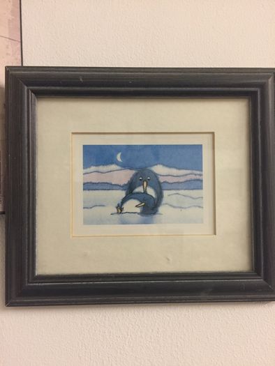 Penguin pictures