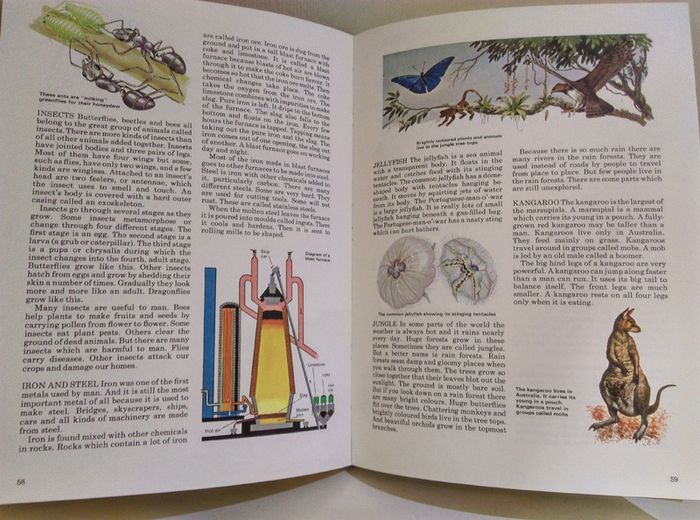 Vintage Different  Encyclopedia books