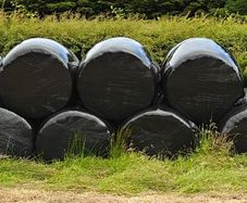 Silage Bales