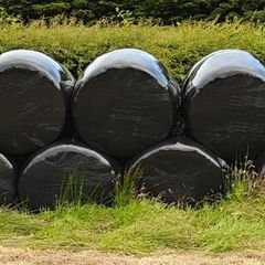 Silage Bales