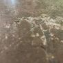 Golden Marble Table Image 7