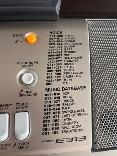 Yamaha PSR E313
