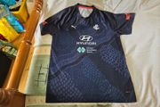 Carlton Blues AFL Warm Up Home Jersey 2022 Large Adult Puma