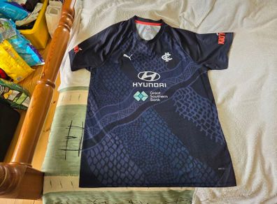 Carlton Blues AFL Warm Up Home Jersey 2022 Large Adult Puma