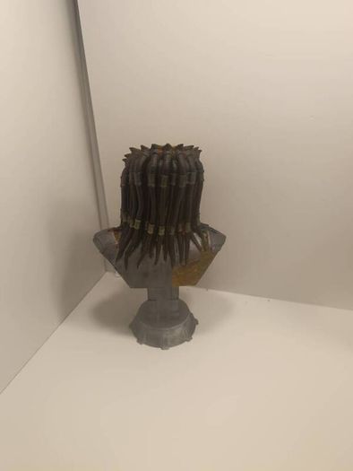 Predator Bust