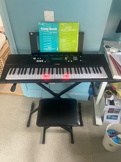 Yamaha ez 220 lightup keys