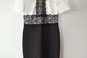 Zara pencil dress size S