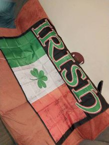 Ireland world cup Flags World cup Irish tricolour flag with shamrock amd writen