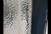 Frosted Window Pane