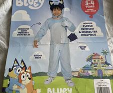 Kids Bluey Costume