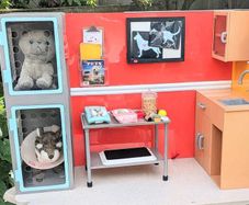 Our generation Bundle- vet clinic, Kennel and 3 dogs
