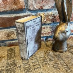 vintage book 1923 yr