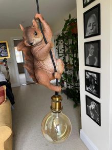 Squirrel pendant light
