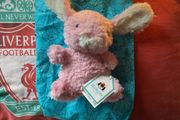 jellycat pink bunny