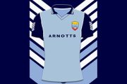 Limited Edition 1991 Dublin Jersey Pin Badge