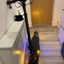 scooter Image 4