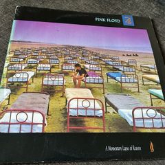 Pink Floyd- Momentary lapse of reason LP
