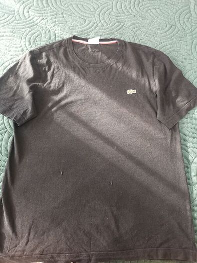 Lacost men's tee shirt