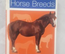 The Handbook of Horse Breeds