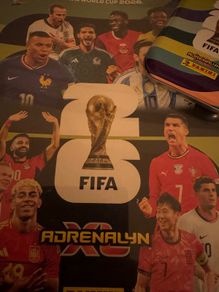 Panini Cards for swaps