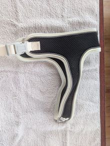 Dog harness