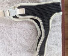 Dog harness