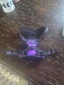 dog harness