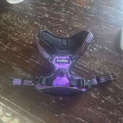 dog harness