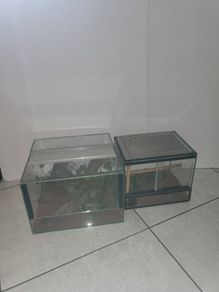 2 x terrariums