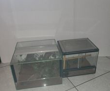 2 x terrariums