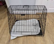 Dog car crate