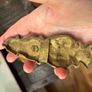 Rare Pair of Antique Ornate Rococo Style Cast Brass Trunk Pulls Image 5