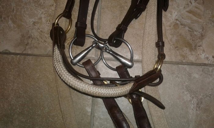 Bridle /bitless