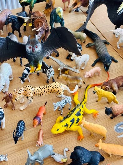 Animals