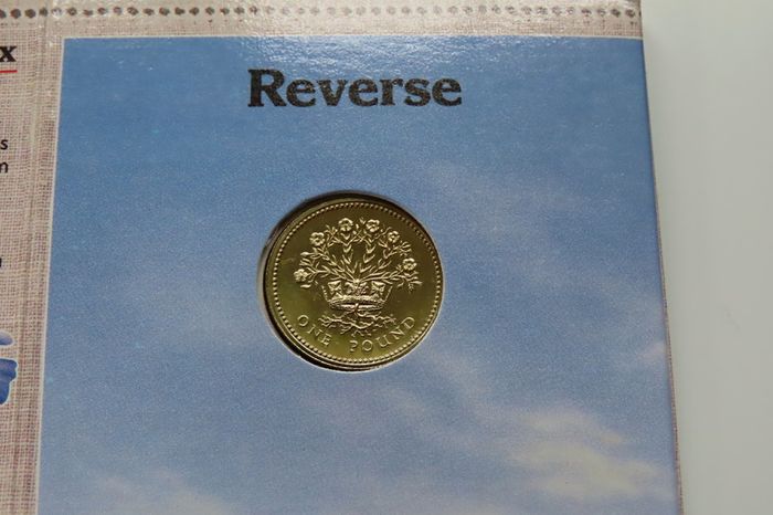 N Irish Coin Royal Mint 1986 Northern Ireland Brilliant Uncirculated BUNC 1 Pound Flax