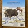 Animals in the Snow Children's Board Book Image 4