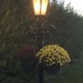 Set of 12 cast iron avenue lamps Image 5