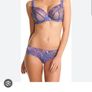 Freya Untamed - Underwire Plunge Balcony Bra 30FF and Briefs S - Brand New RRP 58 Image 2
