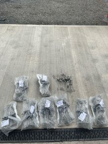 Cavity Wall Ties