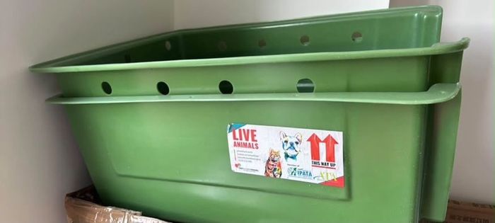 Pet Transport Crate (pet in the cargo hold)