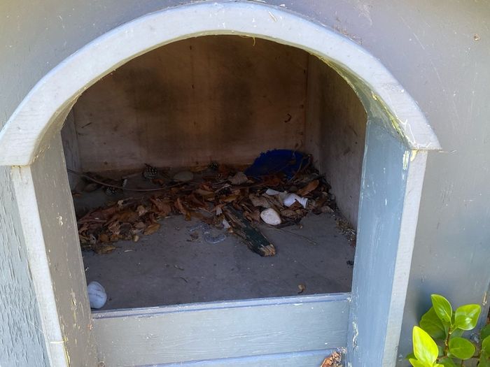 Wooden Dog Kennel