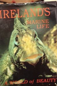 Ireland's Marine Life