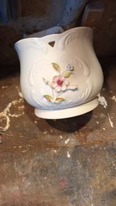 Donegal Parian china
